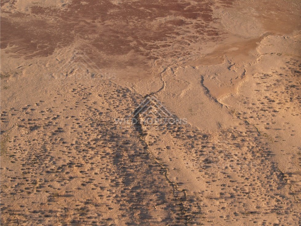 Low rolling dunes with evening shadows. Simpson Desert, Australia.
