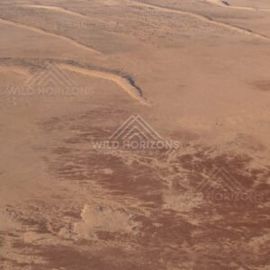 Mixed sand surfaces and vegetated patches. Simpson Desert, Australia.