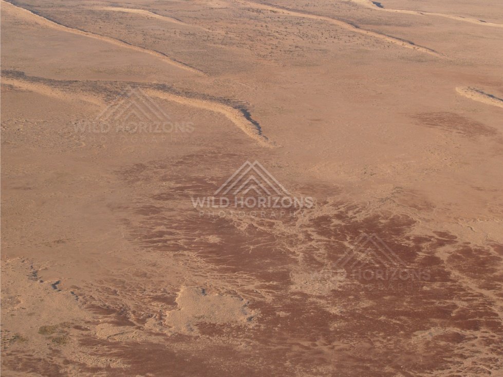 Mixed sand surfaces and vegetated patches. Simpson Desert, Australia.