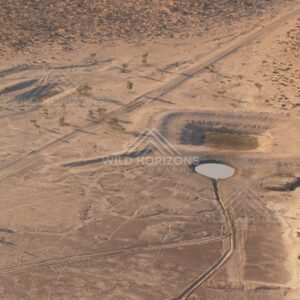 Remote track beside small clay pan. Simpson Desert, Australia.