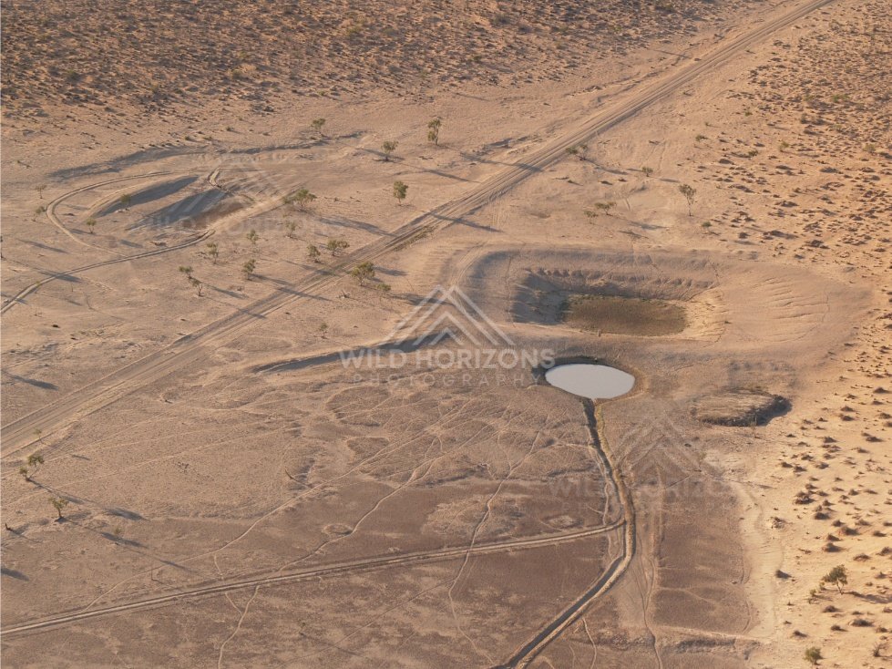 Remote track beside small clay pan. Simpson Desert, Australia.
