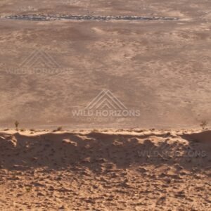 Warm orange dune crest and shadow. Simpson Desert, Australia.