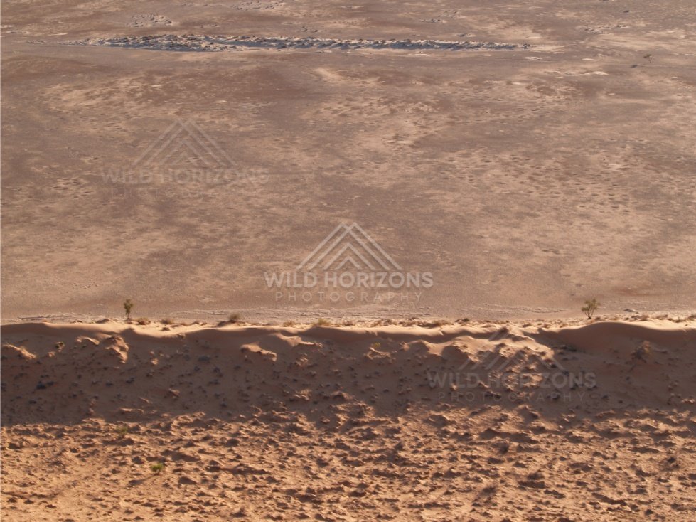 Warm orange dune crest and shadow. Simpson Desert, Australia.