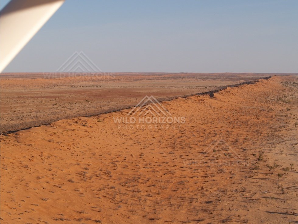 Dune ridge beneath aircraft wing. Simpson Desert, Australia.