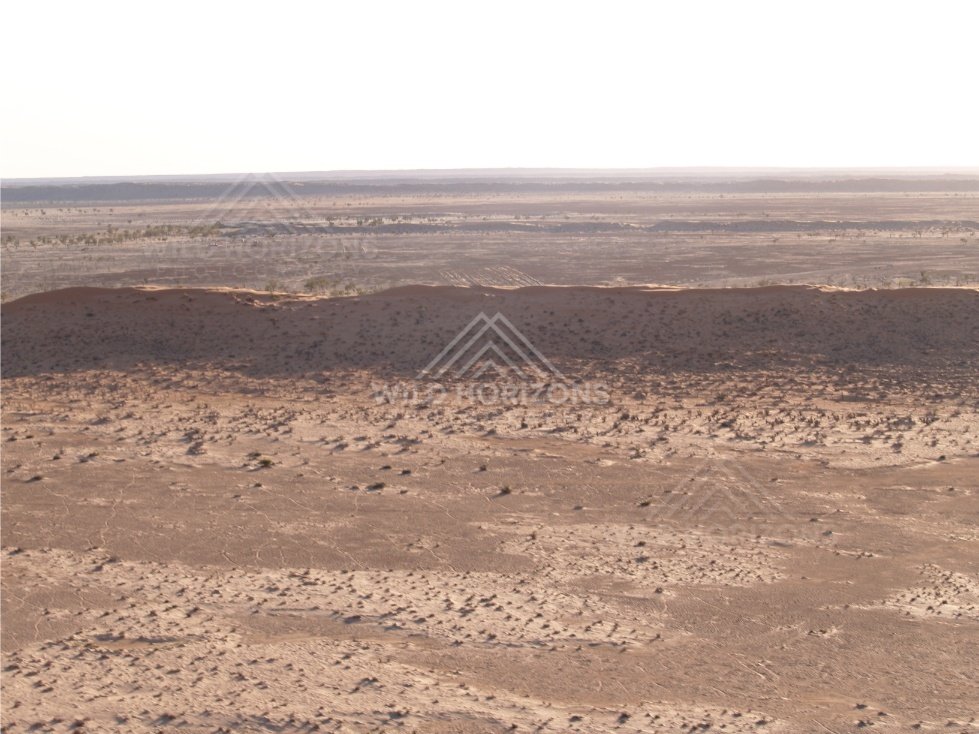 Layered dune country from above. Simpson Desert, Australia.