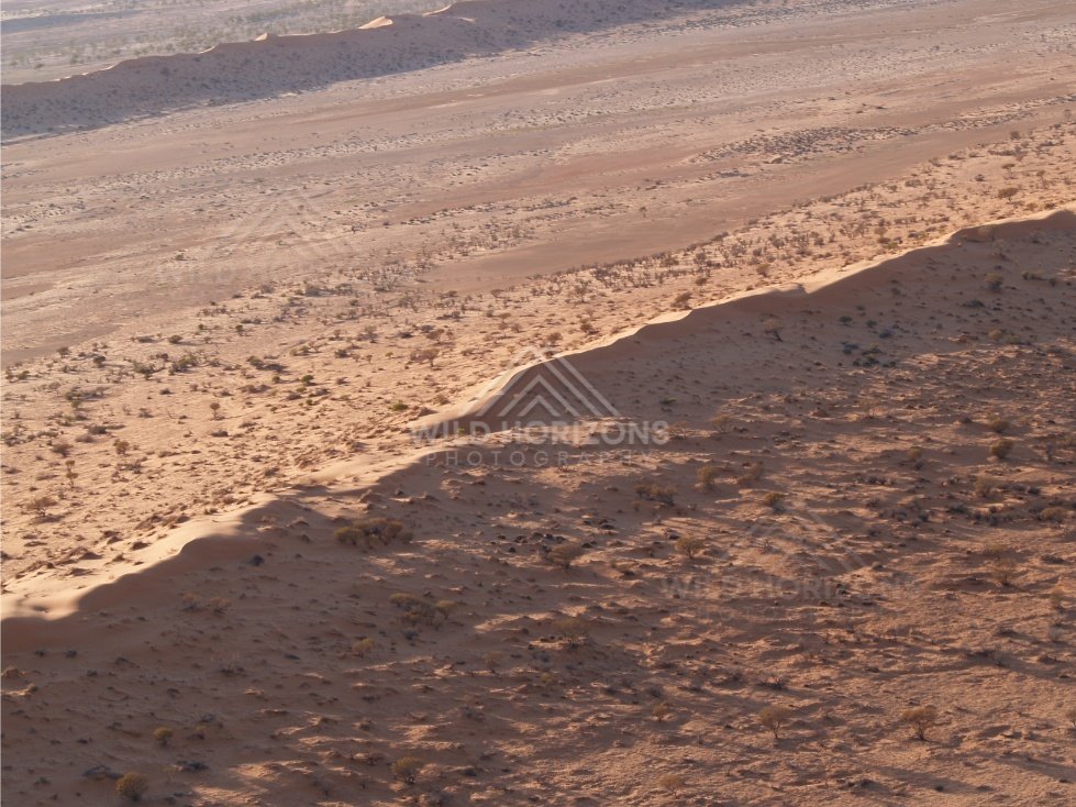 Aerial close perspective of textured dune face. Simpson Desert, Australia.