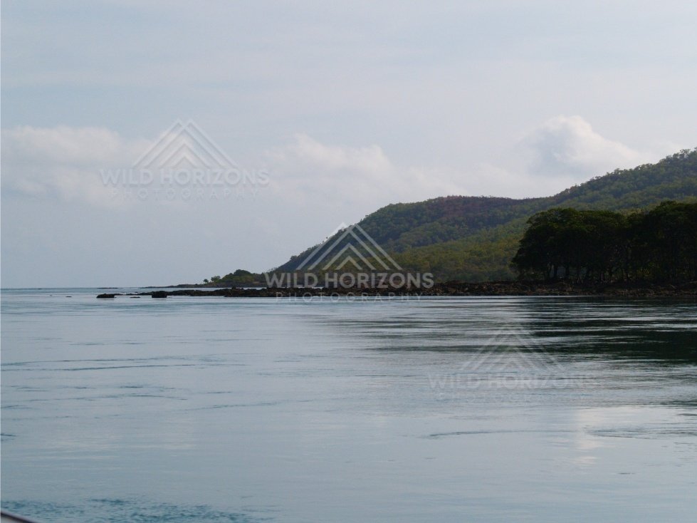 Distant forested island shoreline over reflective water. Cape York, Queensland, Australia.
