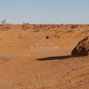 Orange dune with a shadowed bank. Simpson Desert, Australia.