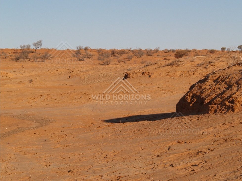 Orange dune with a shadowed bank. Simpson Desert, Australia.