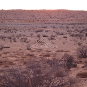 Wide desert plain with scattered shrubs. Simpson Desert, Australia.