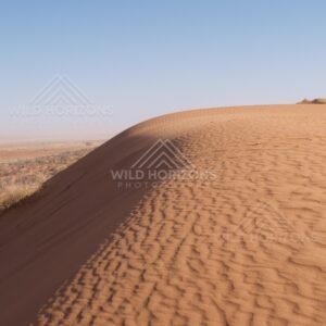Curved sand dune crest with ripples. Simpson Desert, Australia.