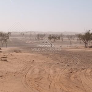 Dust storm over desert plain. Simpson Desert, Australia.