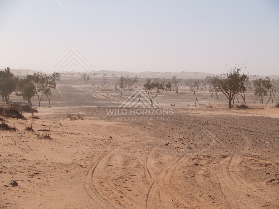Dust storm over desert plain. Simpson Desert, Australia.