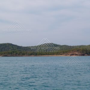 Coastal ridge and sandy edge viewed from offshore. Cape York, Queensland, Australia.