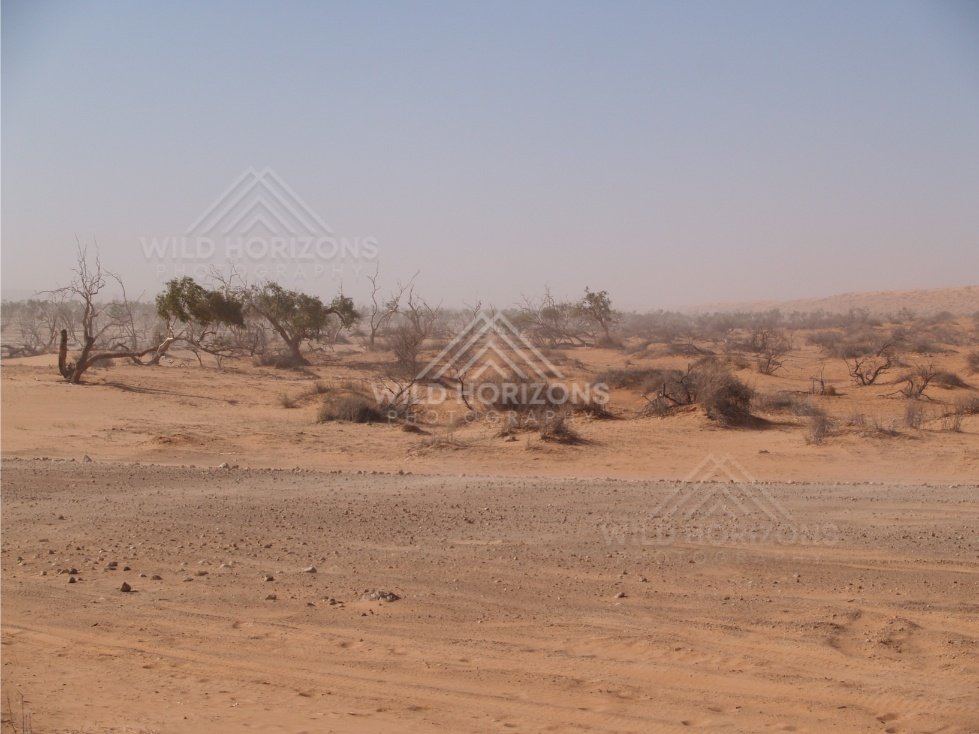 Broad plain in heavy haze. Simpson Desert, Australia.