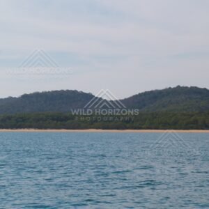 Forested headland and beach line seen from the ocean. Cape York, Queensland, Australia.