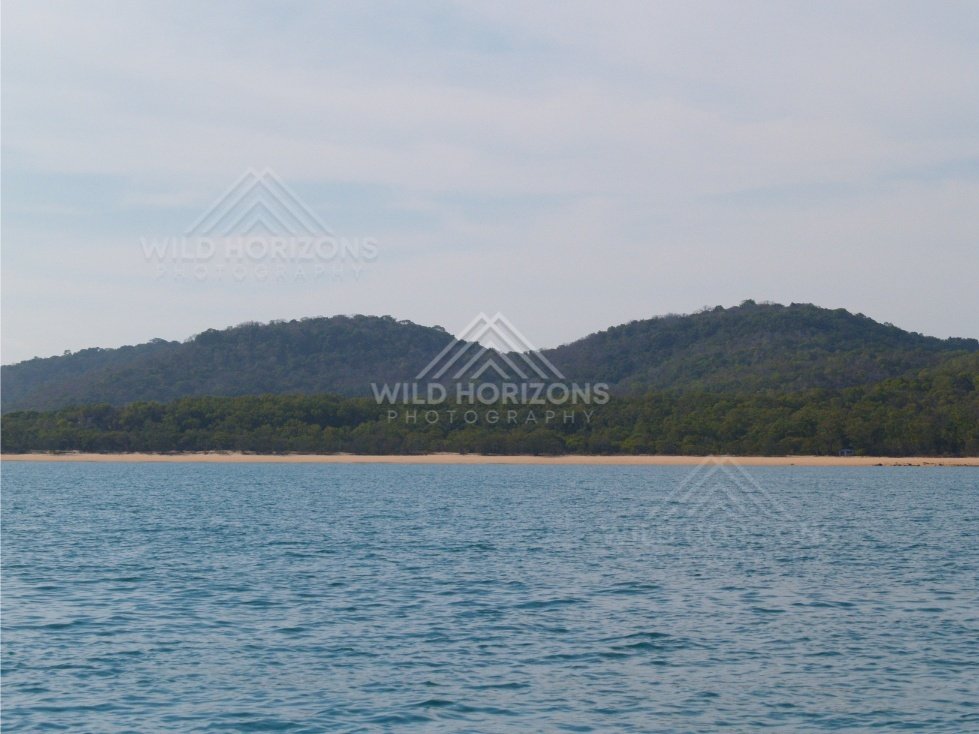 Forested headland and beach line seen from the ocean. Cape York, Queensland, Australia.