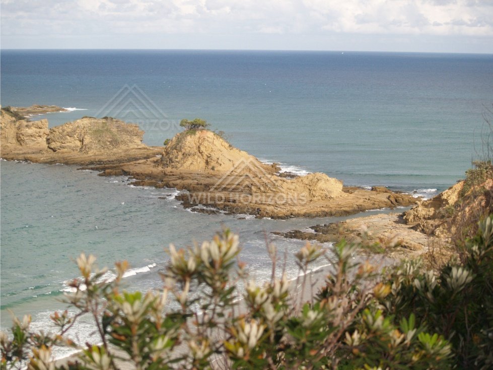 Headland tree above turquoise sea. Queensland, Australia.