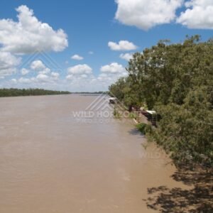 Swollen Fitzroy River panorama. Rockhampton, Australia.