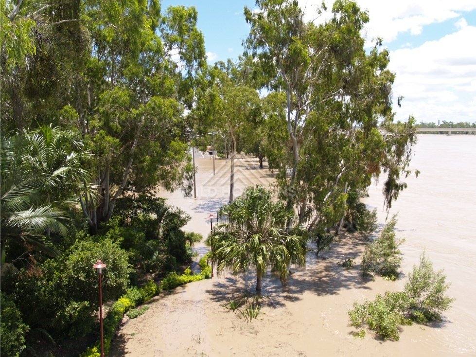 Flooded parkland beside the Fitzroy River. Rockhampton, Australia.