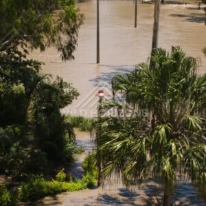 Street pole and palms in floodwater. Rockhampton, Australia.