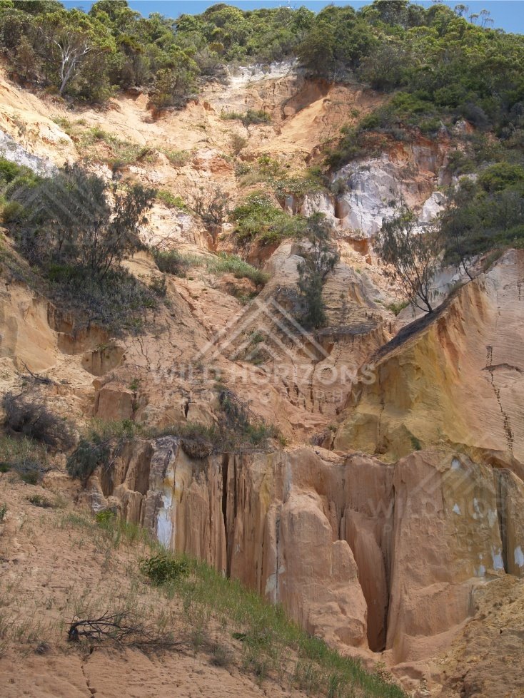 Vertical layers of Coloured Sands. Rainbow Beach, Australia.