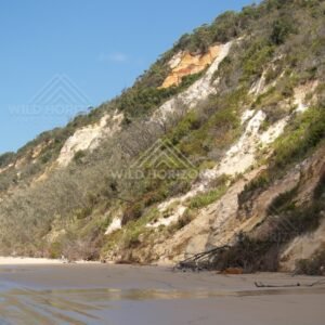 Sandstone cliffs above the beach. Rainbow Beach, Australia.