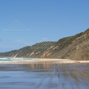 Tyre tracks across Rainbow Beach. Queensland, Australia.