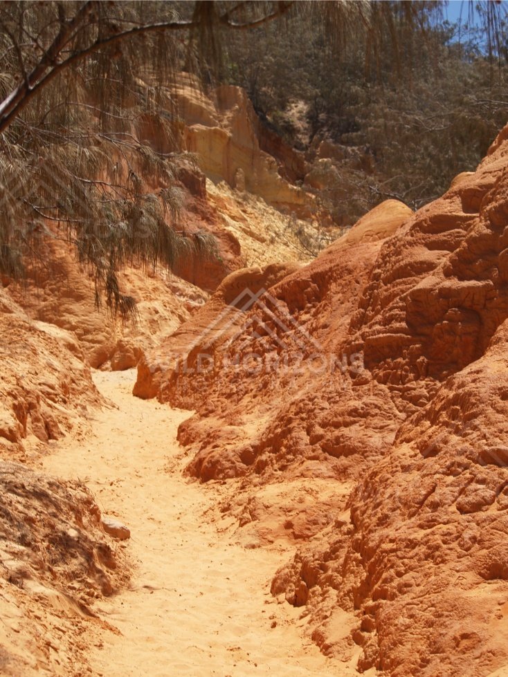 Walking track through Coloured Sands. Rainbow Beach, Australia.