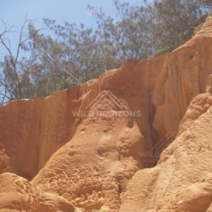 Sculpted formations of the Coloured Sands. Rainbow Beach, Australia.