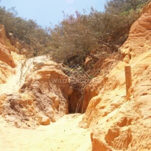 Passage between high sandstone walls. Rainbow Beach, Australia.