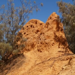 Pinnacle of the Coloured Sands. Rainbow Beach, Australia.