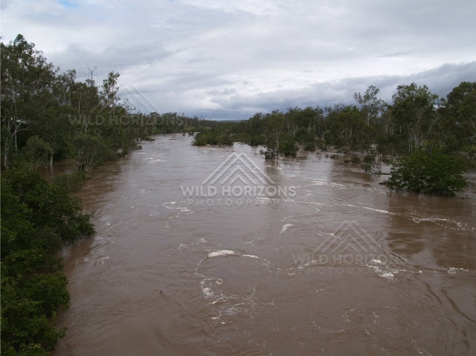Flooded Burnett River channel. Mundubbera, Australia.