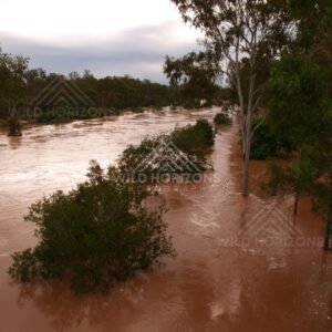Elevated view of flooded Burnett River. Mundubbera, Australia.