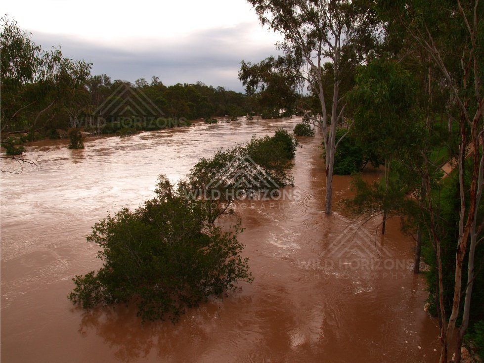 Elevated view of flooded Burnett River. Mundubbera, Australia.