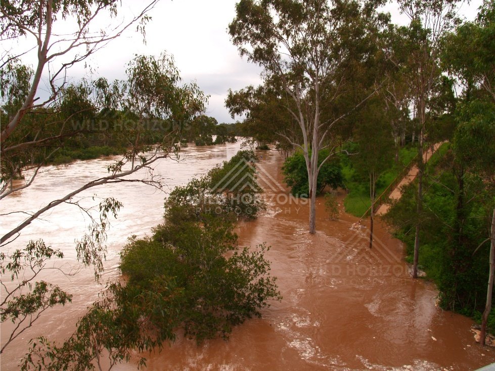 Broad sheet of floodwater on the Burnett. Mundubbera, Australia.