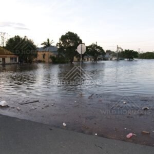 Suburban homes surrounded by floodwater. Bundaberg, Australia.