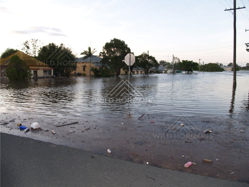 Suburban homes surrounded by floodwater. Bundaberg, Australia.