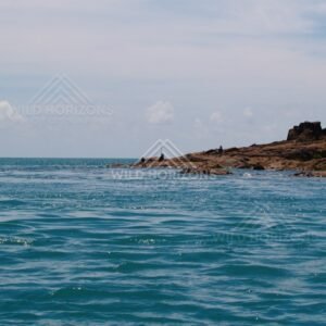 Low rocky coast with light surf. Cape York, Queensland, Australia.