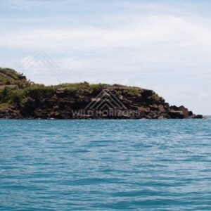 Cliffed shoreline with trees above the ocean. Cape York, Queensland, Australia.