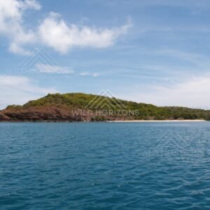 Green-covered island with sandy margin seen from offshore. Cape York, Queensland, Australia.