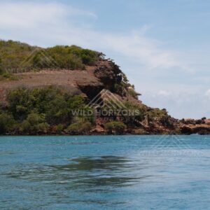 Close coastal headland with exposed red rock and vegetation. Cape York, Queensland, Australia.