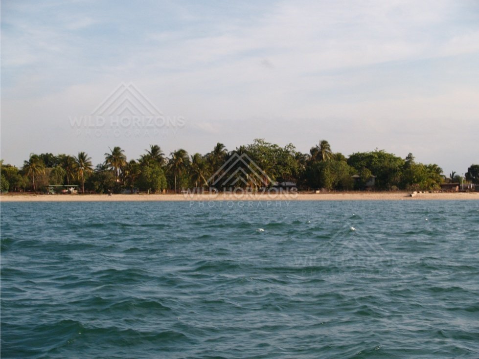 Palm-lined mainland beach viewed from the sea. Cape York, Queensland, Australia.