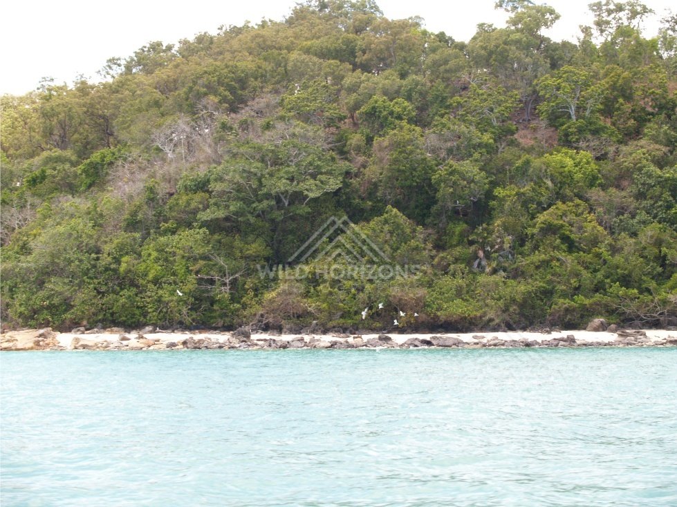 Lush green forested island with coral shoreline. Seisia, Queensland, Australia.