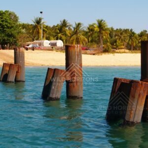 Rusted wharf pylons and beach structures. Seisia, Queensland, Australia.